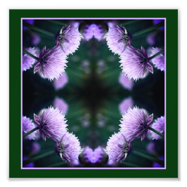 Flowering Purple Scallion Onion Abstract 8x8 Photo Print (Front)