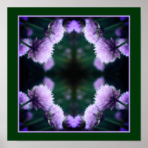 Flowering Purple Scallion Onion Close Up Abstract Poster