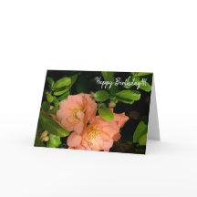 Flowering Quince 1-18 greeting card