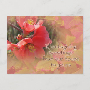Flowering Quince - Chaenomeles speciosa Holiday Postcard