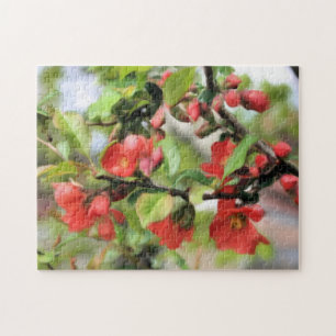 Flowering Quince Red Blossoms  Jigsaw Puzzle