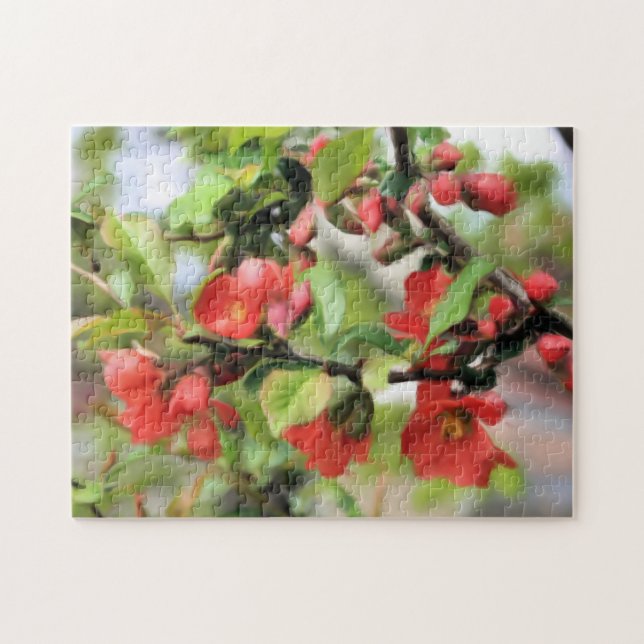 Flowering Quince Red Blossoms  Jigsaw Puzzle (Horizontal)