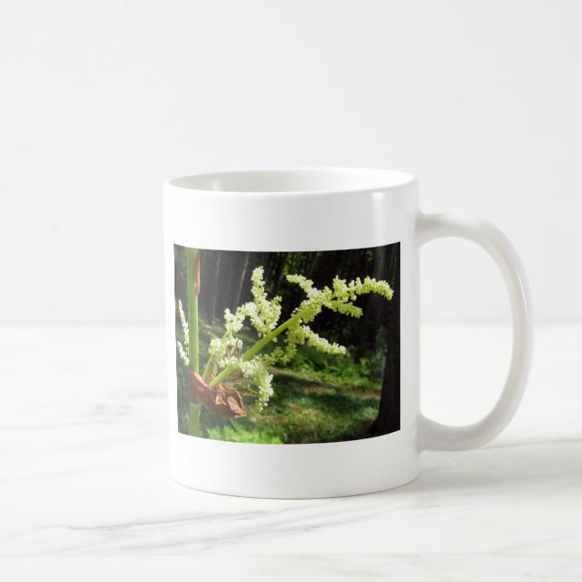 Flowering Rhubarb Stalks Nature Photo Coffee Mug (Right)