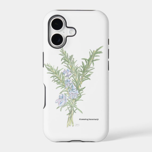 Flowering Rosemary (Back)