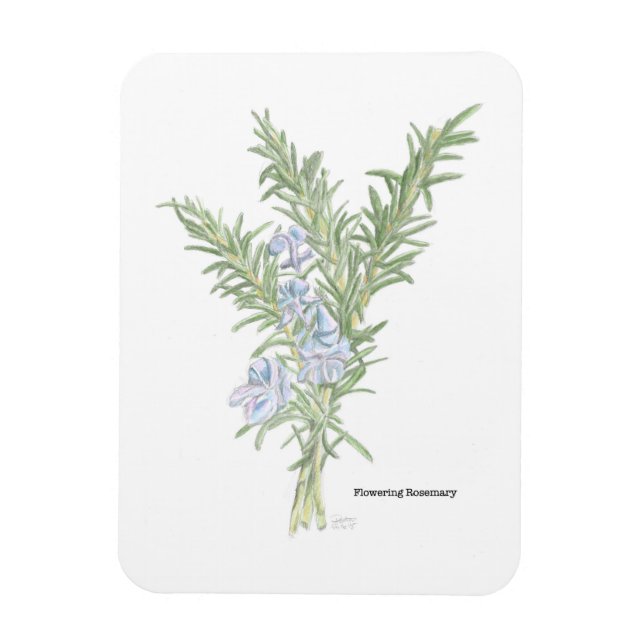 Flowering Rosemary Magnet (Vertical)
