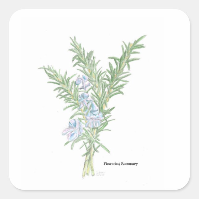 Flowering Rosemary Sticker (Front)
