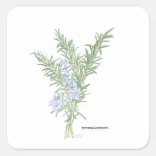 Flowering Rosemary Sticker
