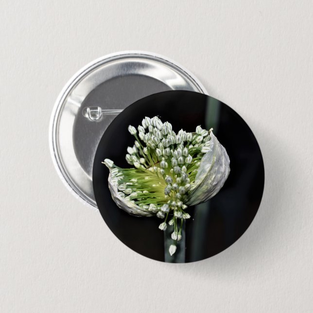 Flowering Spring Onion 6 Cm Round Badge (Front & Back)
