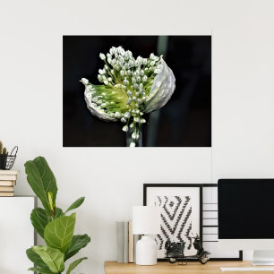 Flowering Spring Onion Poster