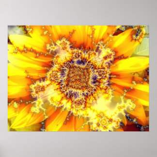 Flowering Sun - Poster