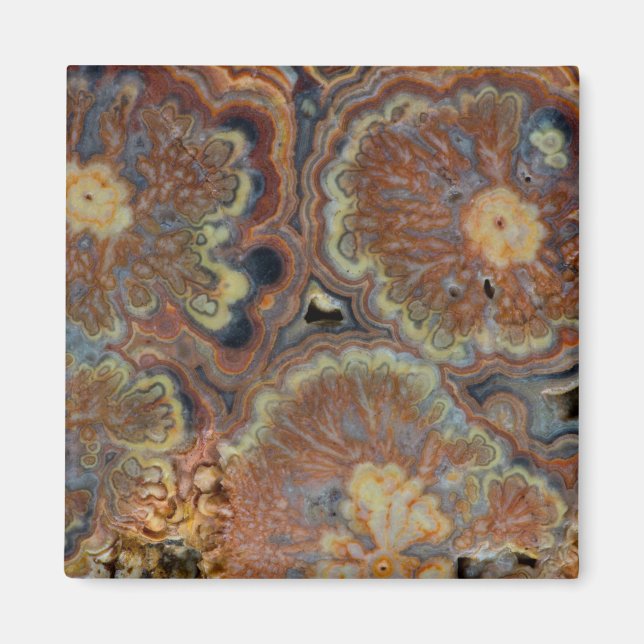 Flowering Tube Onyx Magnet (Front)