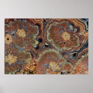 Flowering Tube Onyx Poster