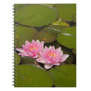 Flowering water lilies notebook