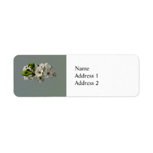 Flowering White Pear Blossoms