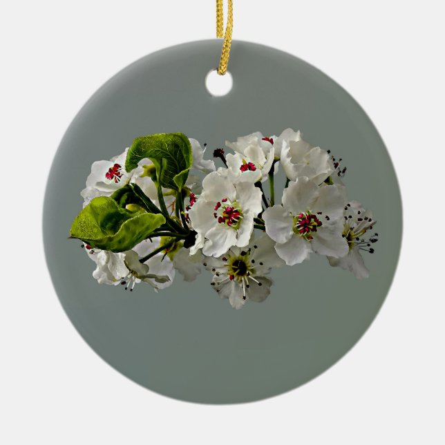 Flowering White Pear Blossoms Ceramic Tree Decoration (Front)