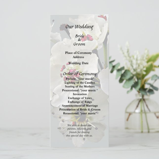 Flowering White Pear Blossoms Programme (Standing Front)