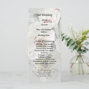 Flowering White Pear Blossoms Programme