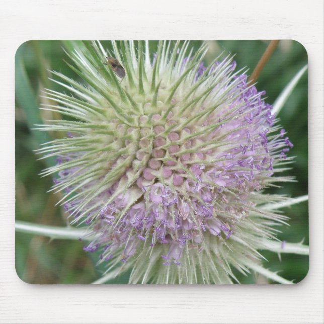 Flowering Wild Grass Mousepad (Front)