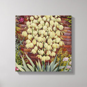 Flowering Yucca Canvas Print