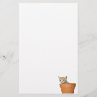 Flowerpot kitten stationery