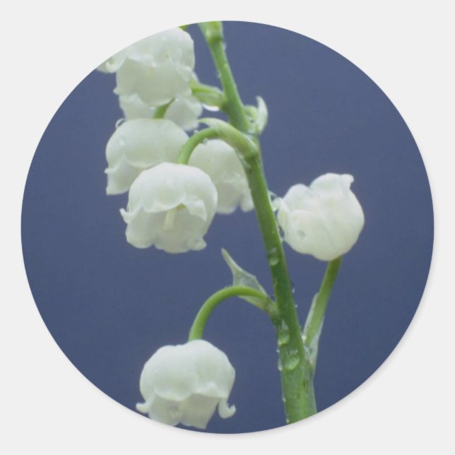 Flowers 110 classic round sticker (Front)