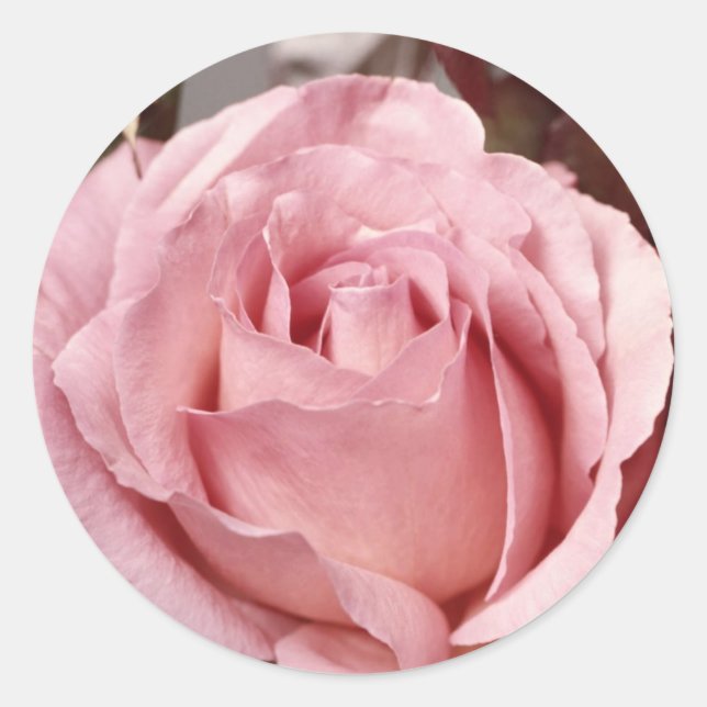 Flowers 137 classic round sticker (Front)