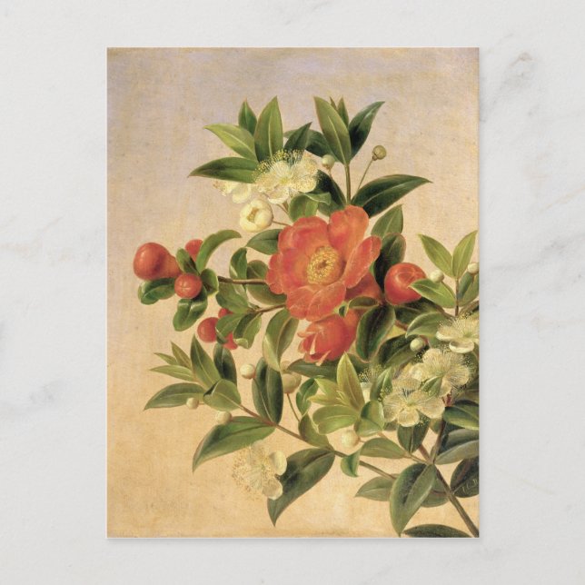 Flowers, 1835 postcard (Front)