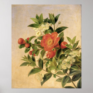Flowers, 1835 poster