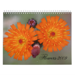 Flowers 2009 calendar