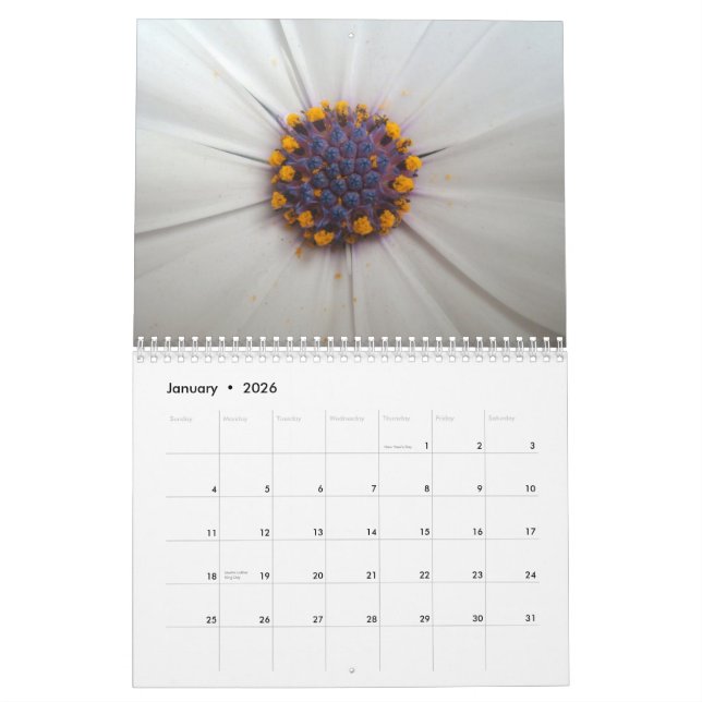 Flowers 2010 Calendar (Jan 2026)