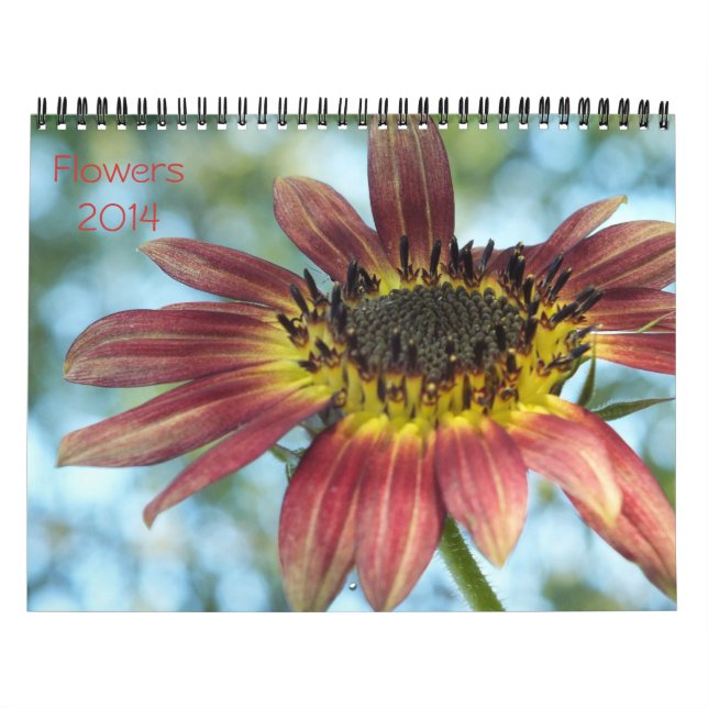 Flowers 2014 Calender Calendar (Cover)