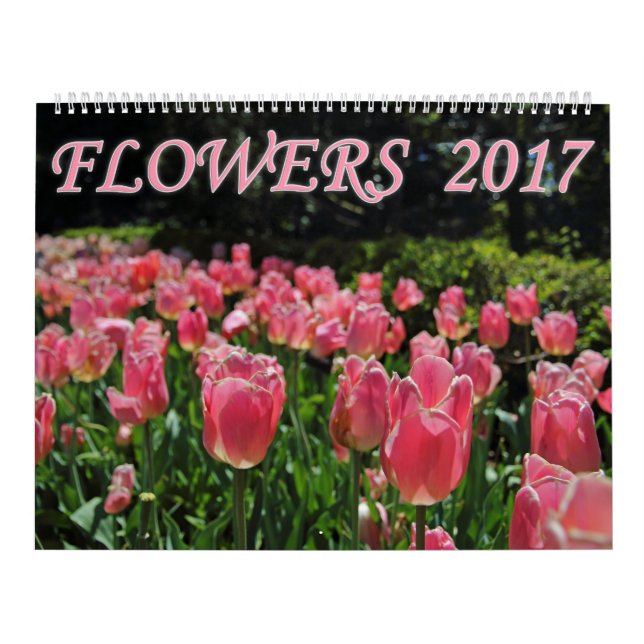Flowers 2017 calendar (Cover)