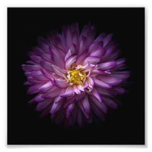 Flowers 20 photo print