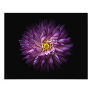 Flowers 20 photo print