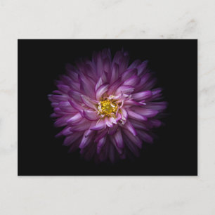 Flowers 20 postcard