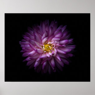 Flowers 20 poster