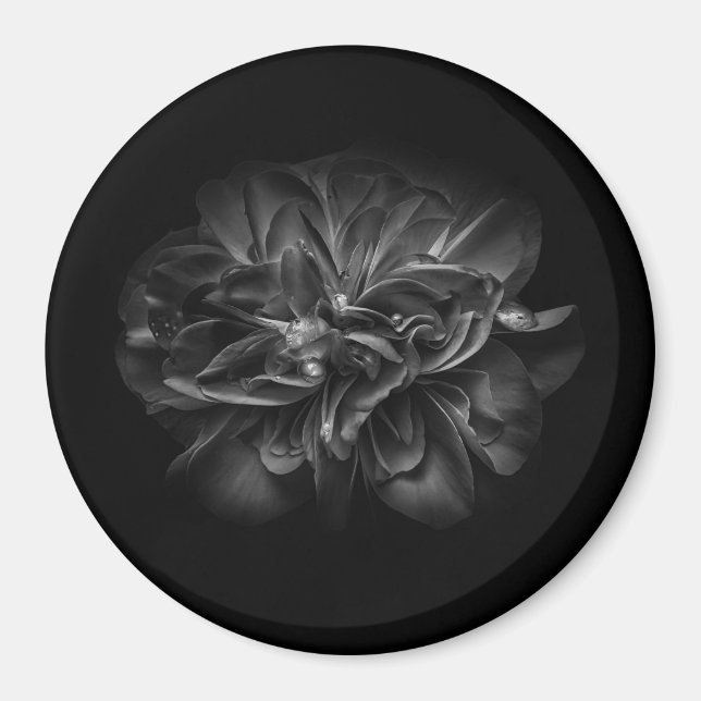 Flowers 67 BW Magnet (Front)