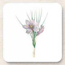 Flowers: A007 Autumn Crocus -