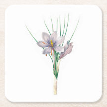 Flowers: A007 Autumn Crocus -