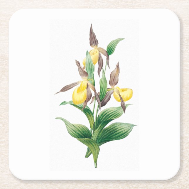 Flowers: A011 Yellow Lady Slipper - Square Paper Coaster (Front)