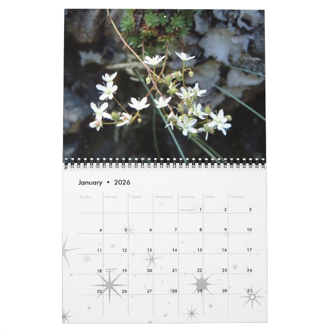 Flowers , A Year of Colour Calendar (Jan 2026)