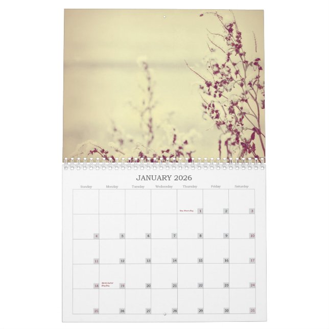 Flowers All Year Long Calendar 2013 (Jan 2026)