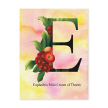 Flowers Alphabet with Watercolor Background