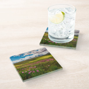 Flowers Altai Mountains, Siberia, Russia Glass Coaster