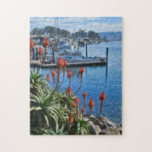 Flowers and Boats on Coast