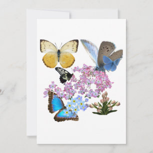 Flowers and Butterflies: A new biggening Invitation