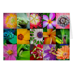 Flowers and Creatures Blank 5x7 Horizontal Cards