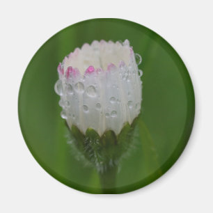 Flowers and drops of water magnet