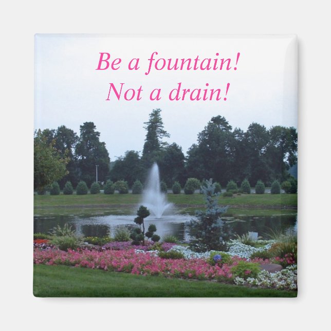 Flowers and fountain, be a fountain not a drain! magnet (Front)