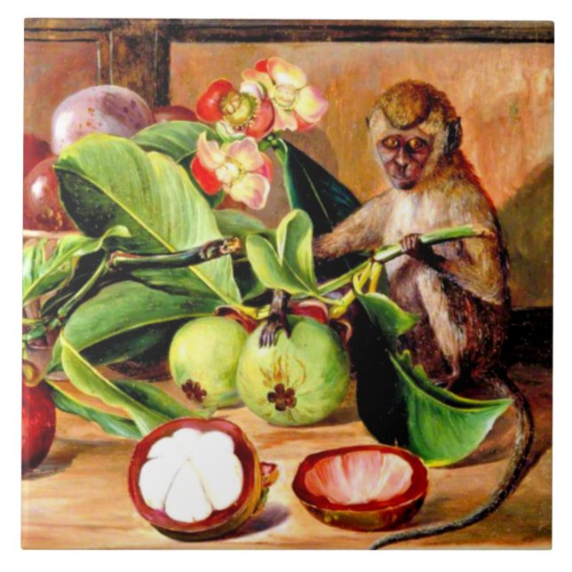 Flowers and fruit of Mangosteen; Singapore Monkey Tile (Front)